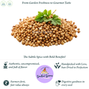 Screenshot 2025-03-20 at 10.09.06 PM.webp