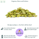 Screenshot 2025-03-20 at 10.08.30 PM.webp